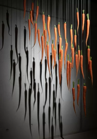 Imagen PNG para descargar